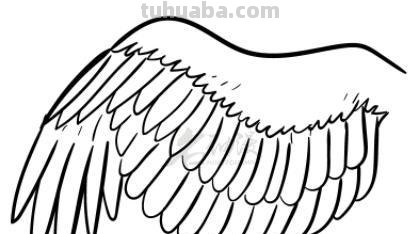 翅膀怎么画简笔画步骤 怎样画鸟【简笔画】？