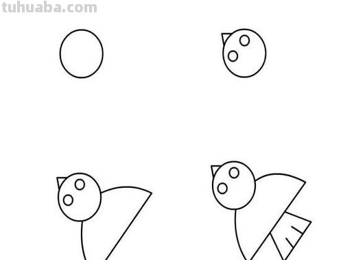 翅膀怎么画简笔画步骤 怎样画鸟【简笔画】？