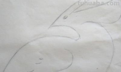 翅膀怎么画简笔画步骤 怎样画鸟【简笔画】？