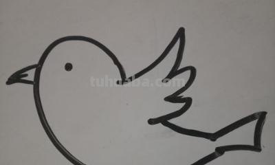 翅膀怎么画简笔画步骤 怎样画鸟【简笔画】？