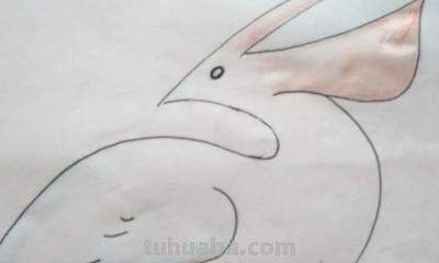 翅膀怎么画简笔画步骤 怎样画鸟【简笔画】？