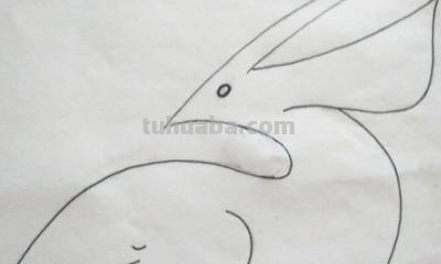 翅膀怎么画简笔画步骤 怎样画鸟【简笔画】？