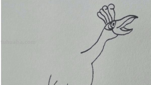 翅膀怎么画简笔画步骤 怎样画鸟【简笔画】？