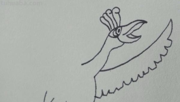 翅膀怎么画简笔画步骤 怎样画鸟【简笔画】？