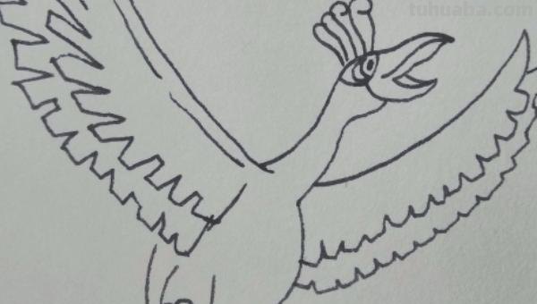 翅膀怎么画简笔画步骤 怎样画鸟【简笔画】？