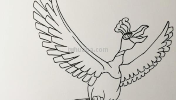 翅膀怎么画简笔画步骤 怎样画鸟【简笔画】？