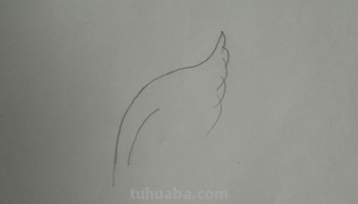 翅膀怎么画简笔画步骤 怎样画鸟【简笔画】？