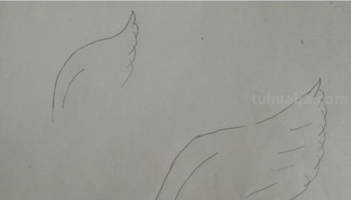 翅膀怎么画简笔画步骤 怎样画鸟【简笔画】？
