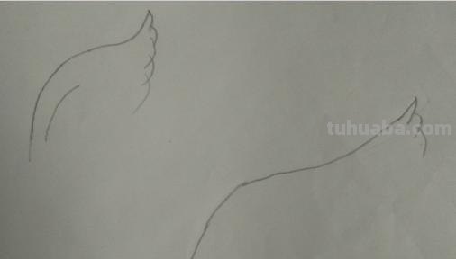 翅膀怎么画简笔画步骤 怎样画鸟【简笔画】？
