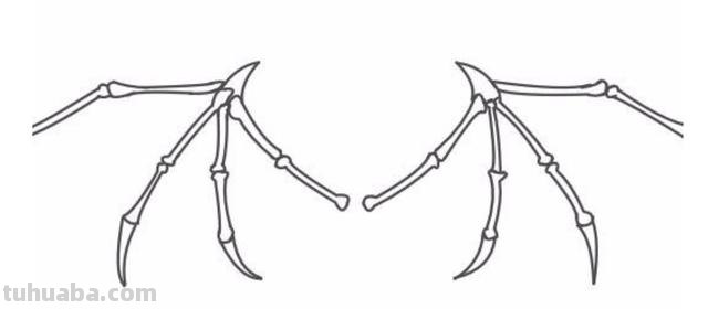 翅膀怎么画简笔画步骤 怎样画鸟【简笔画】？