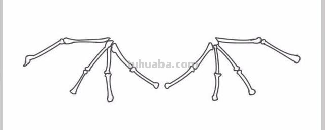 翅膀怎么画简笔画步骤 怎样画鸟【简笔画】？