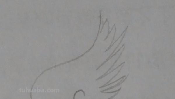 翅膀怎么画简笔画步骤 怎样画鸟【简笔画】？