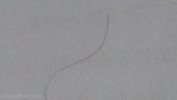 翅膀怎么画简笔画步骤 怎样画鸟【简笔画】？