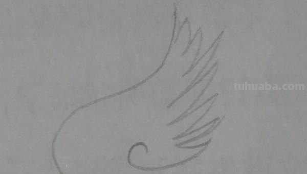 翅膀怎么画简笔画步骤 怎样画鸟【简笔画】？