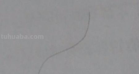 翅膀怎么画简笔画步骤 怎样画鸟【简笔画】？