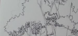 速写局部形 人物速写如何画好动态线呢？