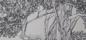 速写局部形 人物速写如何画好动态线呢？