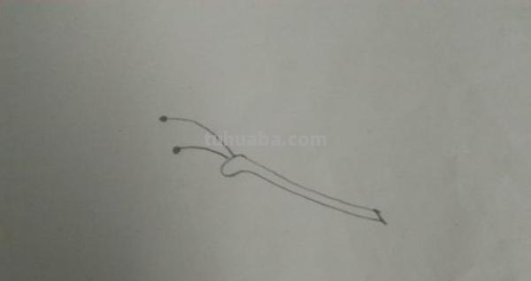 蝴蝶怎么画彩铅图画 蝴蝶铅笔画？