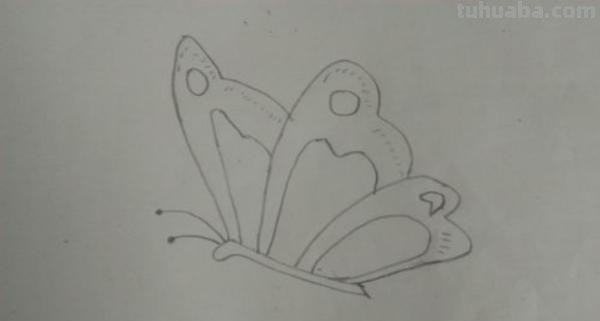 蝴蝶怎么画彩铅图画 蝴蝶铅笔画？