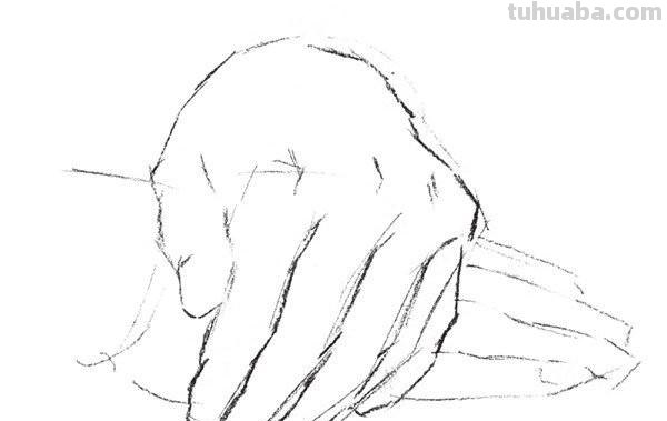 速写右手背 速写人物比例口诀？