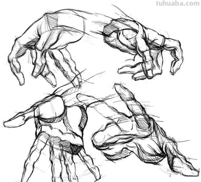 速写右手背 速写人物比例口诀? 速写右手背 速写人物比例口诀?