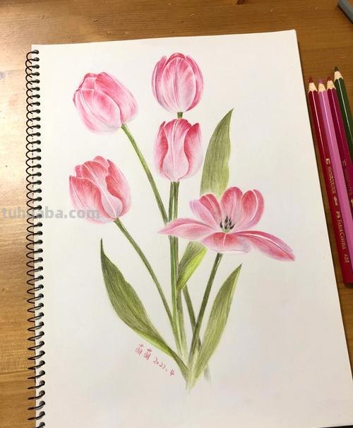 用彩铅怎么画水 水溶性彩铅怎样作画？