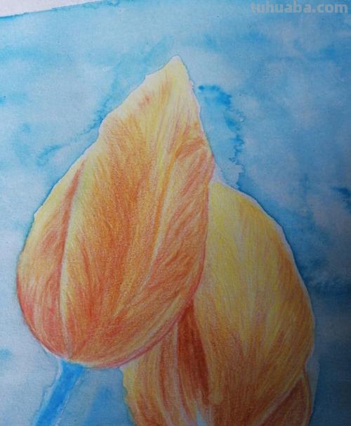 用彩铅怎么画水 水溶性彩铅怎样作画？