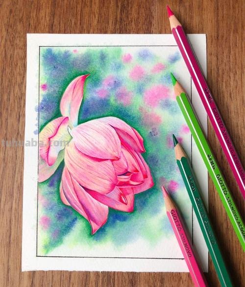 用彩铅怎么画水 水溶性彩铅怎样作画？