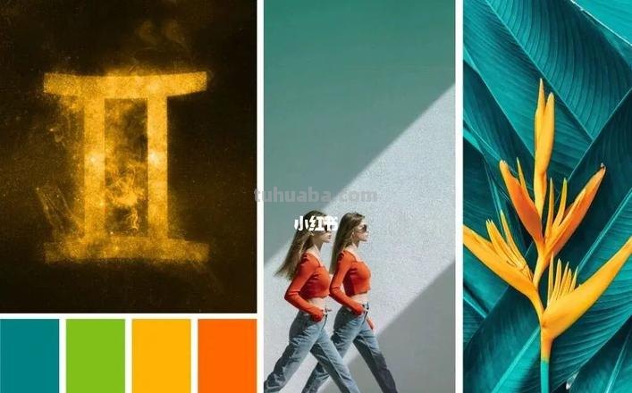 色彩发布与色彩发布机构,为设计师和消费者带来更多可能性