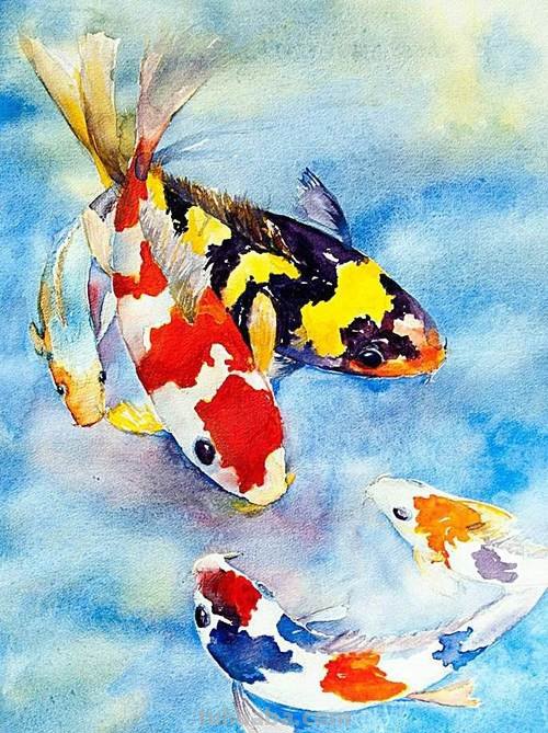 鲤鱼色彩及鲤鱼色彩画图片:探讨这种充满活力的颜色