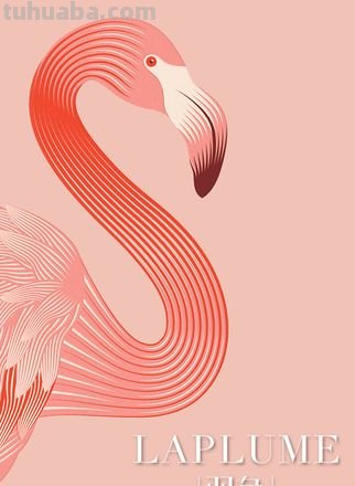 羽色彩妆及羽色化妆品——打造独特的妆容 