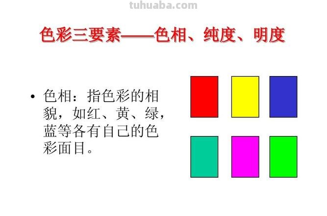 色彩恒常性：色彩在我们生活中的重要性 