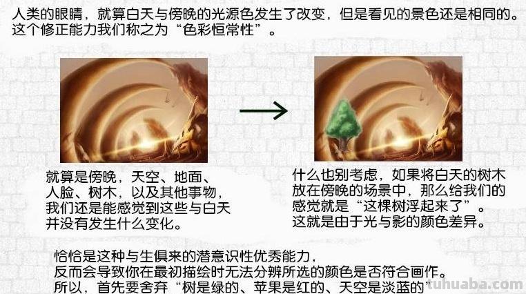 色彩恒常性：色彩在我们生活中的重要性 