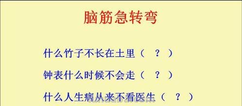 哪种竹子不长在土里脑筋急转弯 哪种竹子不长在土里面脑筋急转弯