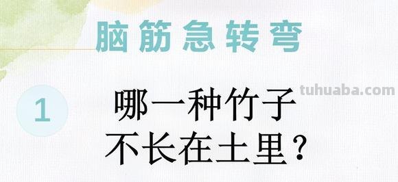 哪种竹子不长在土里脑筋急转弯 哪种竹子不长在土里面脑筋急转弯