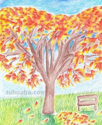 彩铅枫树林怎么画 8-10岁画秋天景色彩铅?