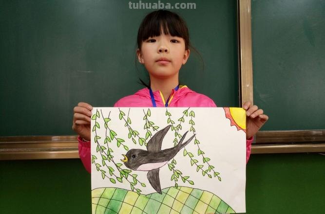 燕子的色彩及燕子的色彩怎么涂?教你一步步画出可爱的燕子!