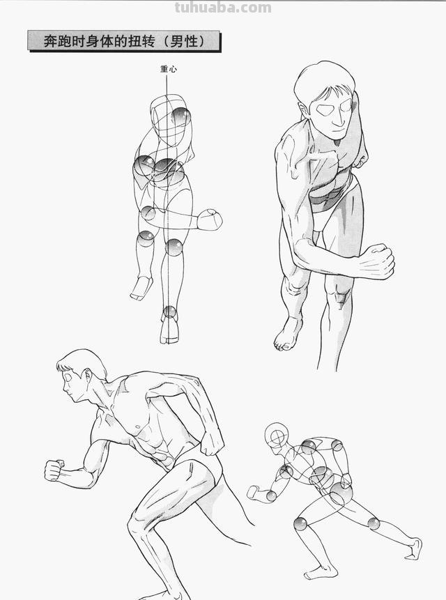 我们的速写 速写怎样画才能形准? 我们的速写 速写怎样画才能形准?