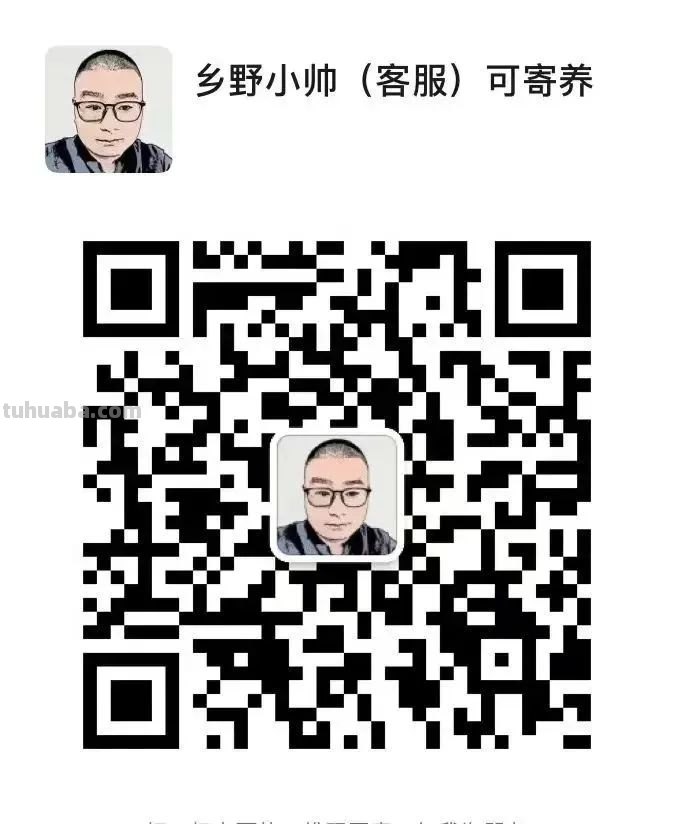 继续分享我们家的多肉，喜欢一定不要错过
