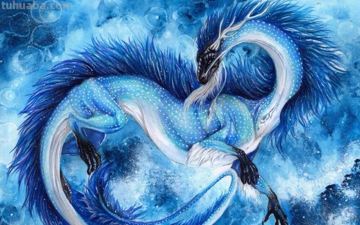 色彩龙图片大全,打造你的二次元世界