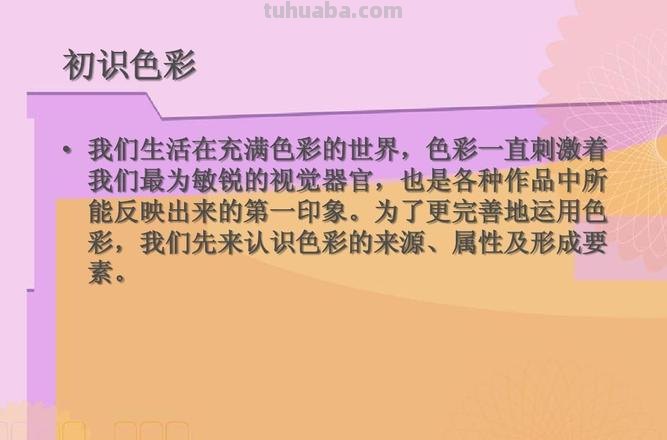 色彩搭配培训心得:发现美好的色彩世界