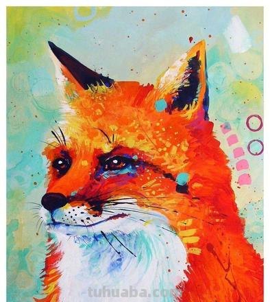 探寻色彩动物世界:色彩动物图片大全