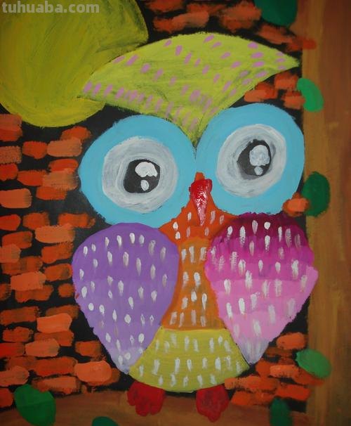 探讨色彩猫头鹰及色彩猫头鹰考题 