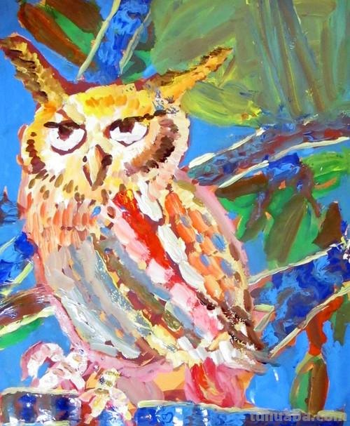 探讨色彩猫头鹰及色彩猫头鹰考题