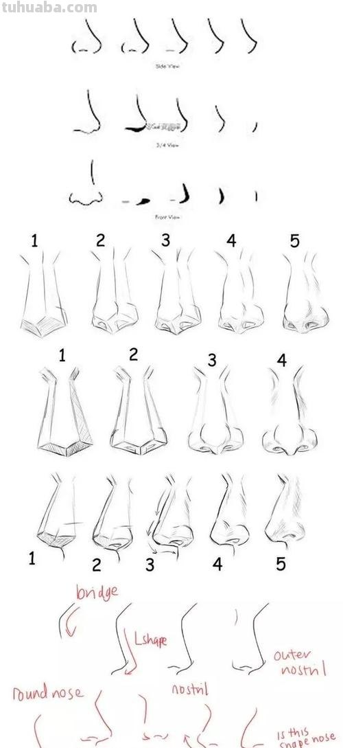 鼻子怎么画简笔画正面 怎样画漫画人物的鼻子？