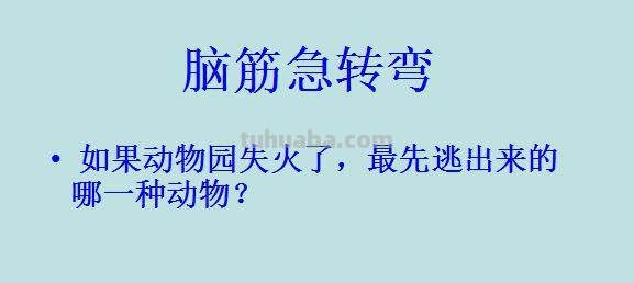 什么动物最容易贴在墙上脑筋急转弯 什么动物最容易贴在墙上脑筋急转弯打一生肖