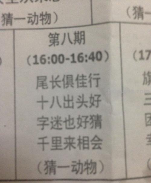 什么动物最容易贴在墙上脑筋急转弯 什么动物最容易贴在墙上脑筋急转弯打一生肖