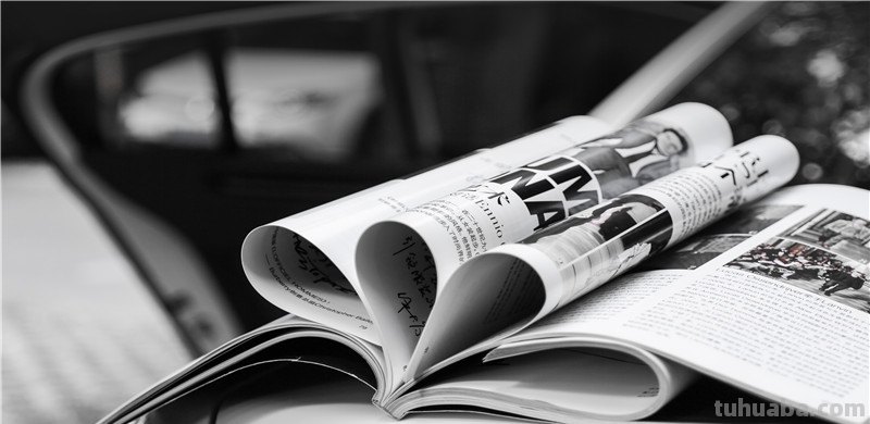 什么动物最容易贴在墙上脑筋急转弯