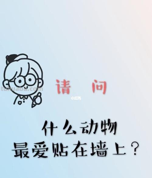 什么动物最容易被贴在墙壁上脑筋急转弯 什么动物最容易被贴在墙壁上谜底