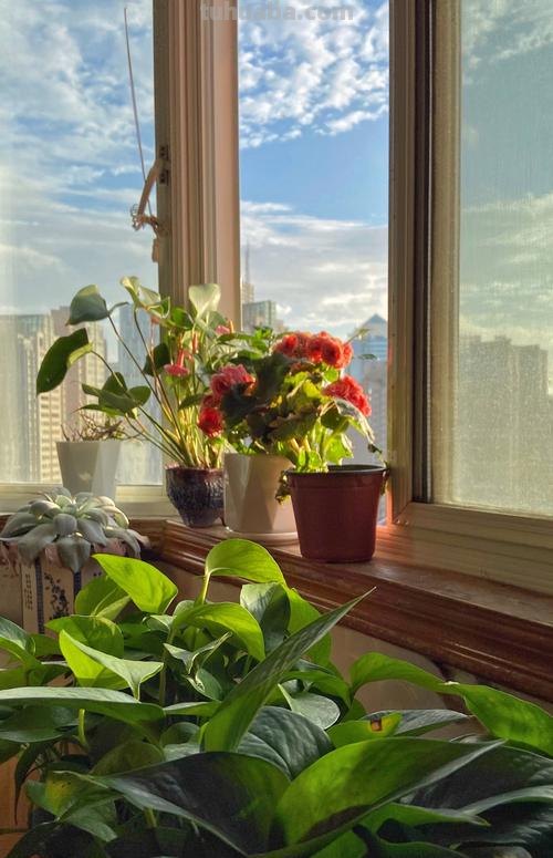 【色彩窗外】- 带你领略色彩斑斓的窗外风景 